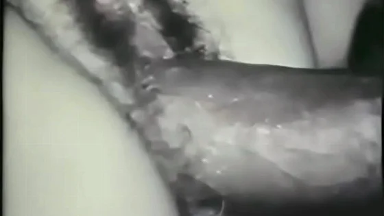 Vintage Interracial Fuck 2