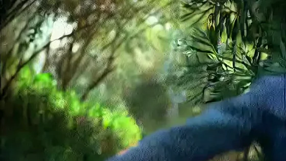 1976 - Abigail Clayton Forest House Scene