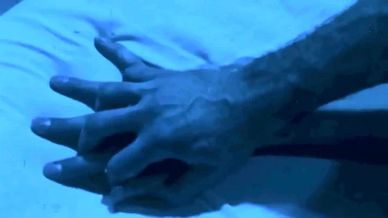 Presents 'The Dragonfly' Scene 4 Pt.1