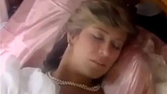 Classic Marilyn Chambers Hardcore Pounding Sex Session
