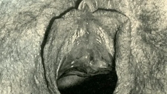 presents 'Vintage Closeups' from My Secret Life, The Erotic Confessions of a Victorian English Gentleman