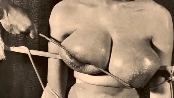 presents 'Vintage BDSM' from My Secret Life, The Erotic Confessions of a Victorian English Gentleman