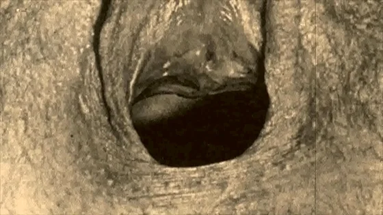 presents 'Vintage Closeups' from My Secret Life, The Erotic Confessions of a Victorian English Gentleman