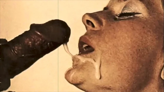 presents 'Vintage Interracial' from My Secret Life, The Erotic Confessions of a Victorian English Gentleman