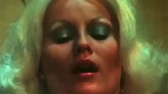 Vintage Porn Adventure From 1973