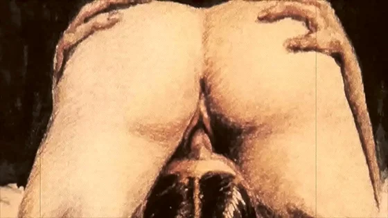 vintage erotic drawings