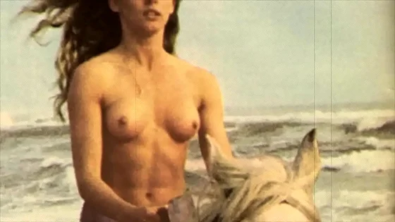 Vintage Taboo, Pussy & Pooch