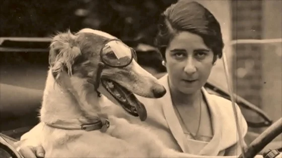 presents 'Vintage Nature Girls'